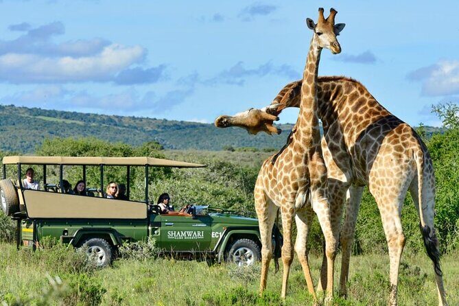 4 Day Private Garden Route Safari from Cape Town - FAQ