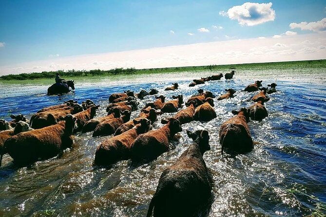 4-day-private-hiking-and-horseback-riding-tour-in-corrientes