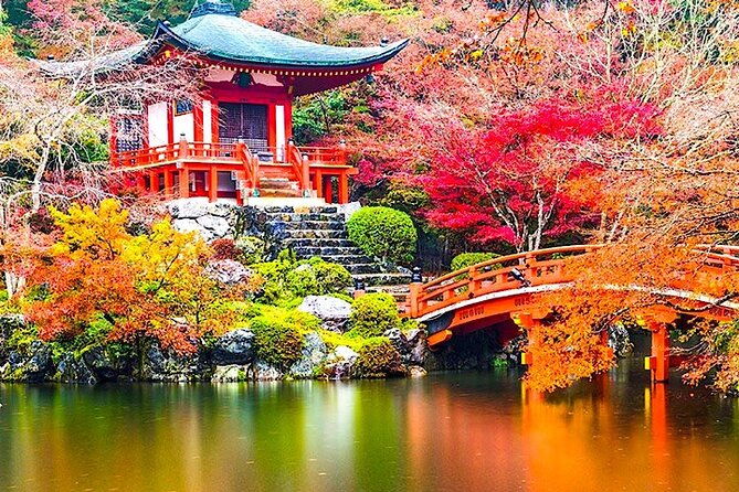 4-day-private-kyoto-osaka-nara-sightseeing-tour-with-guide