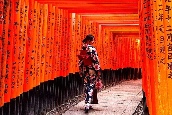 4-day-private-kyoto-osaka-nara-sightseeing-tour-with-guide