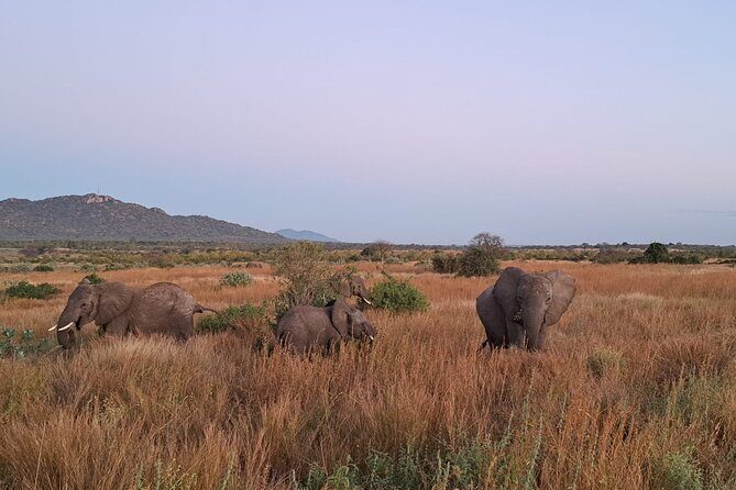 4-Day Private Lake Natron and Serengeti Wildlife Safari - What’s Included and What to Expect