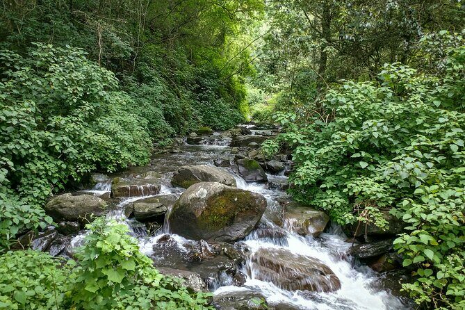 4-Day Private Natal Midlands Falls to Falls Tour - What Travelers Are Saying