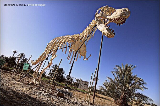 4 Day Private Tour from Fes to Merzouga Desert And Marrakech - Final Thoughts