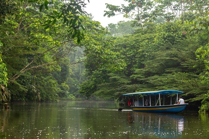 4-day-private-tour-from-volcanoes-route-to-the-amazon-rainforest