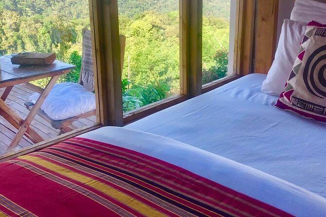 4-Day Private Tour in Bwindi Forest National Park - Why This Tour Stands Out