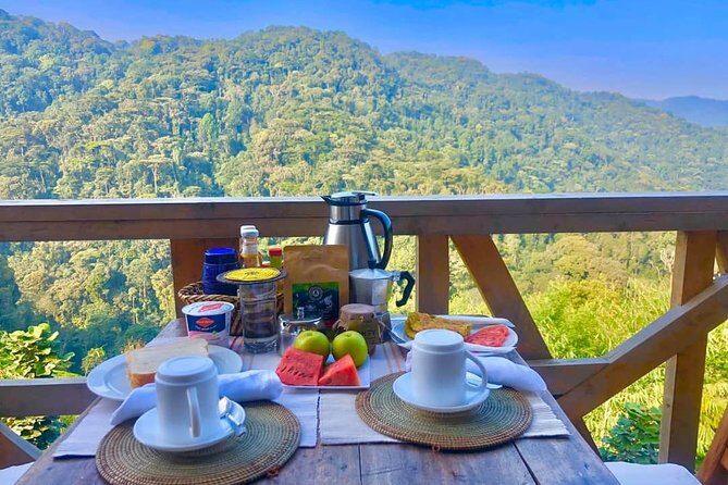4-Day Private Tour in Bwindi Forest National Park - Practical Details & What to Expect