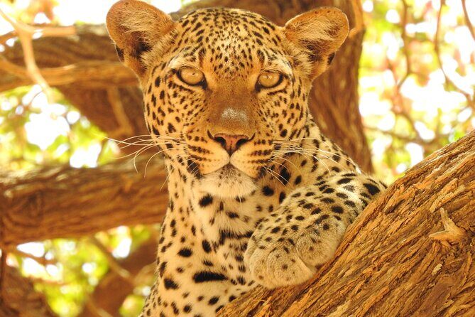 4 Day Private Tour in Tanzania - An In-Depth Look at the Itinerary