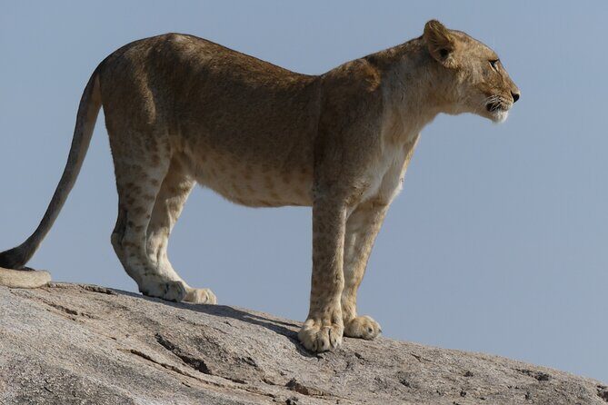 4 Day Private Tour in Tanzania - Final Words