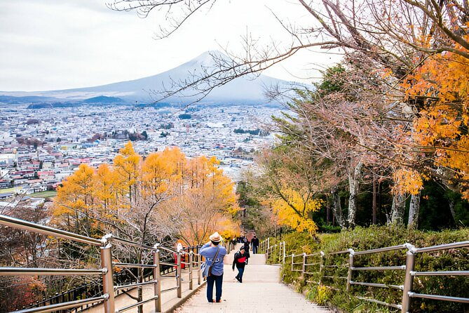 4-day-private-tour-mt-fuji-kamakura-hakone-nikko