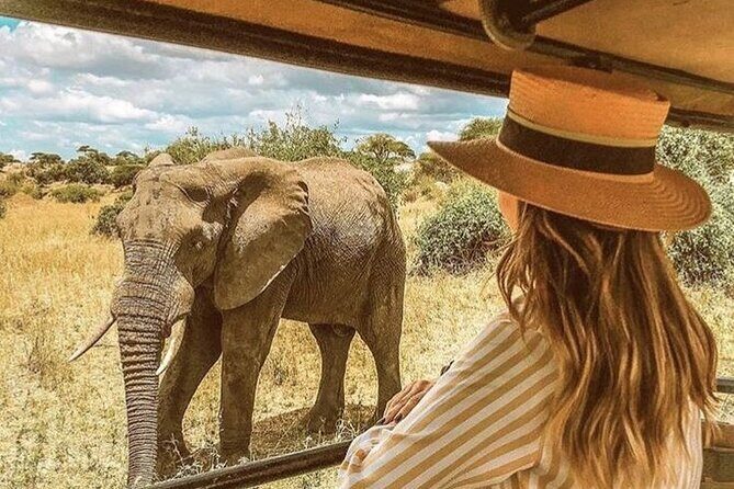 4 Day Private Wilderness Safari in Arusha - Exploring the 4 Day Private Wilderness Safari in Arusha: An Authentic Adventure in Tanzania