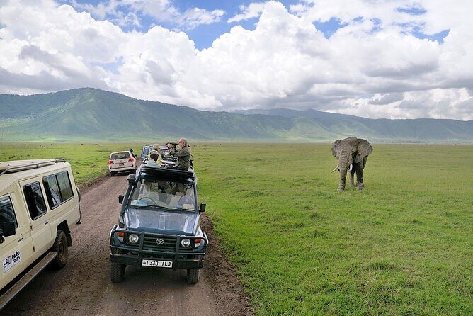 4 Day Private Wilderness Safari in Arusha - Final Thoughts