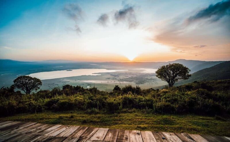 4-Day Safari Experience Discover the Wild - Key Points