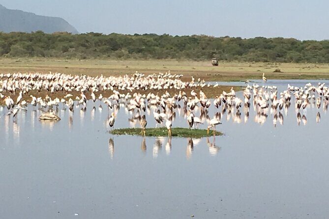 4-Day Safari from Arusha: Tarangire, Serengeti and Ngorongoro - Frequently Asked Questions