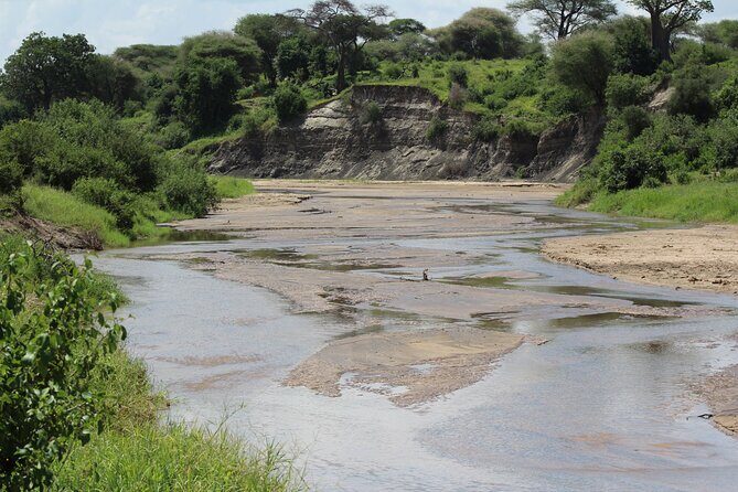 4-Day Safari in Tarangire, Serengeti & Ngorongoro (Mid-range) - FAQ
