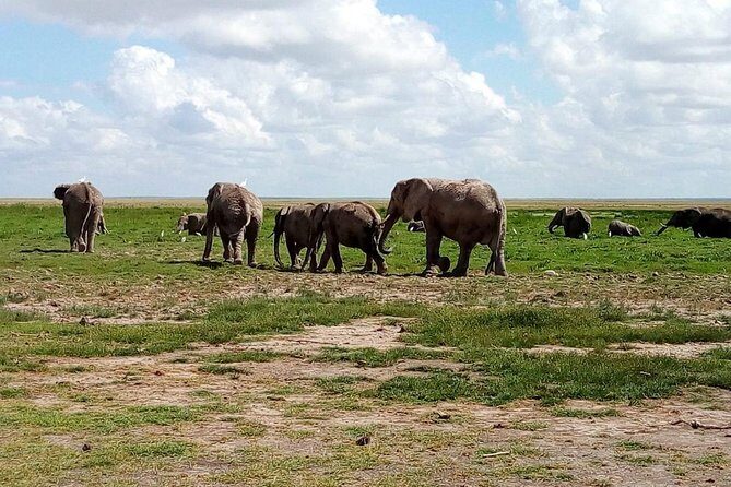 4-Day Safari: Lake Manyara, Serengeti & Ngorongoro - Key Points