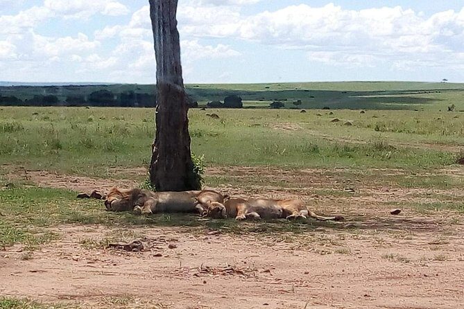 4-Day Safari: Lake Manyara, Serengeti & Ngorongoro - FAQs