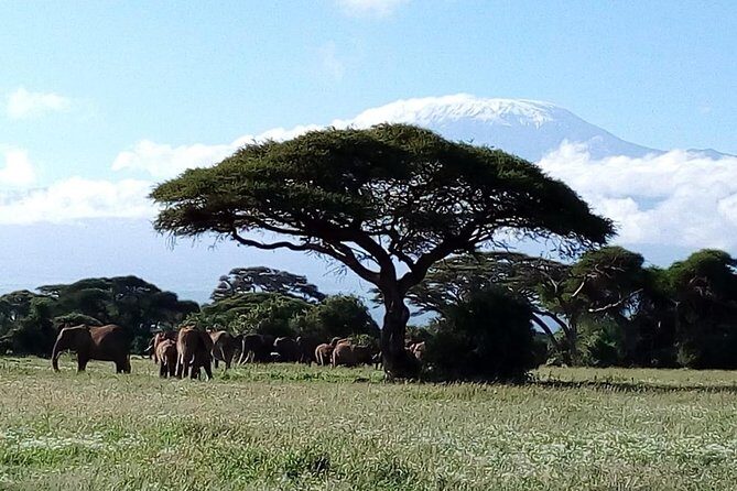 4-Day Safari: Lake Manyara, Serengeti & Ngorongoro - Final Word