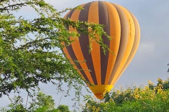 4 Day Safari Maasai Mara, Lake Nakuru and Lake Naivasha - Practical Tips for Travelers