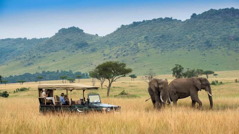 4-Day Safari Masai Mara and Lake Nakuru National Park - Key Points