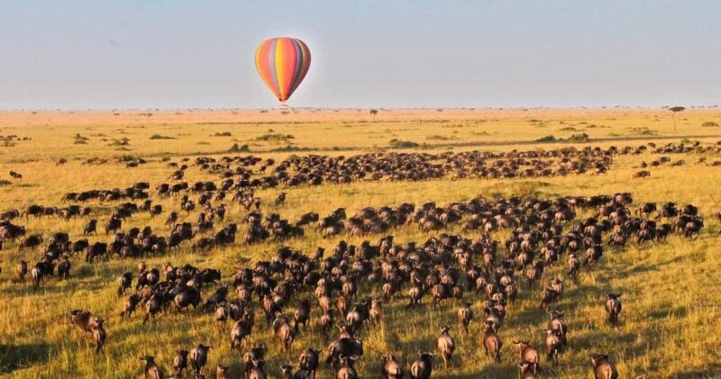 4-Day Safari Masai Mara and Lake Nakuru National Park - Introduction: Exploring Kenya in Four Days