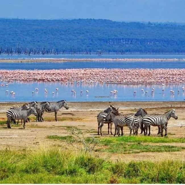 4-Day Safari Masai Mara and Lake Nakuru National Park - FAQs
