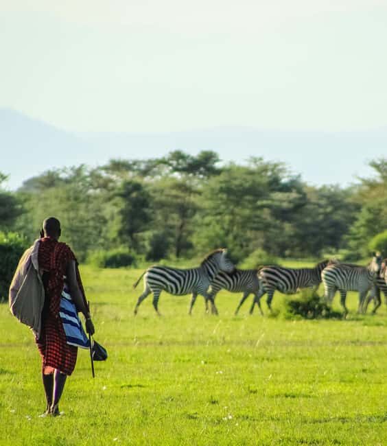 4-Day Safari - The Experience and What You’ll Love