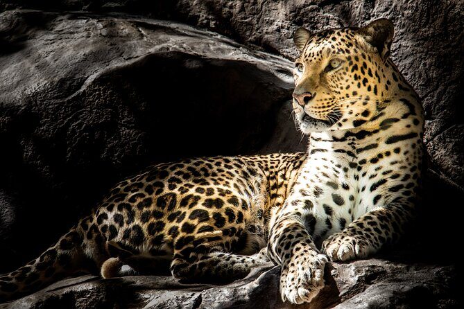 4 Day Safari- Tarangire,Ngorongoro and Serengeti - Who Is This Tour Best For?