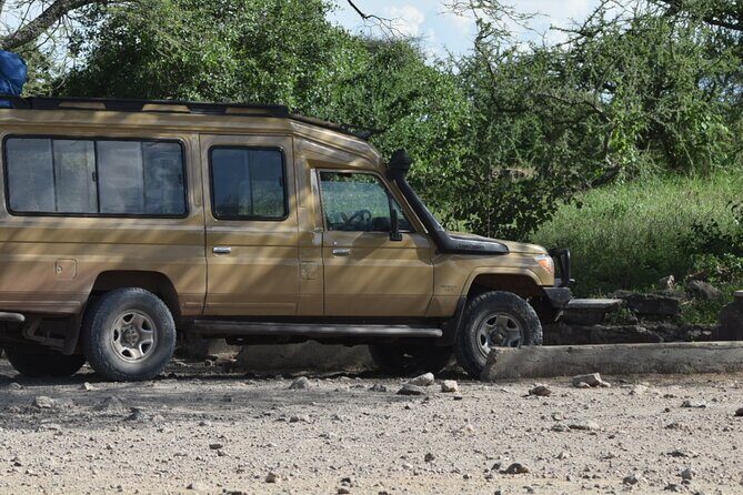 4-Day Safari to Tarangire ,Serengeti and Ngorongoro crater from Arusha - Who Will Love This Safari?  