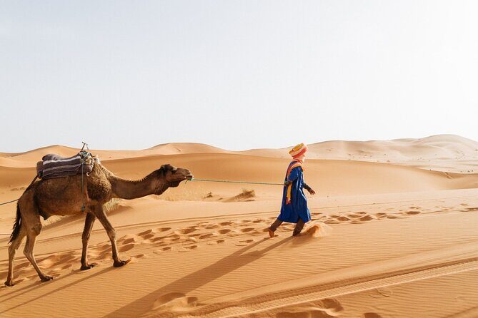 4 Day Sahara Desert Tour From Marrakech with Night in Camp - Final Thoughts: Is This Tour for You?