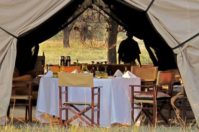 4 Day Serengeti Luxury Tented Camps Safari - A Closer Look at the Itinerary and Experience