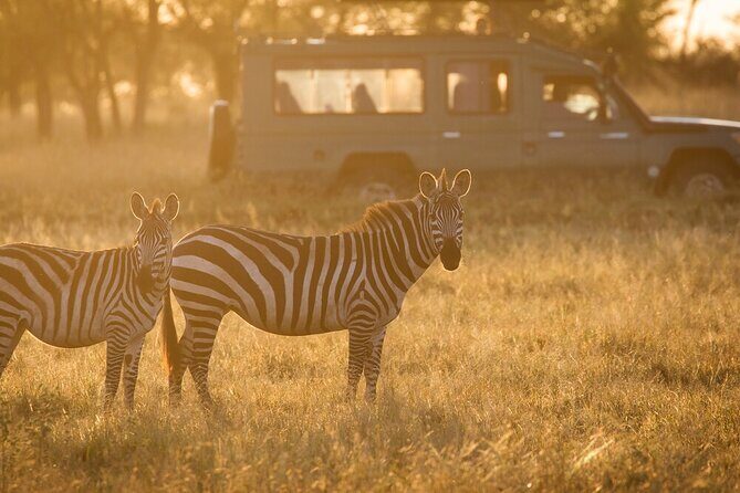 4-Day Serengeti, Ngorongoro, & Lake Manyara Budget Tour - An In-Depth Look at the 4-Day Itinerary