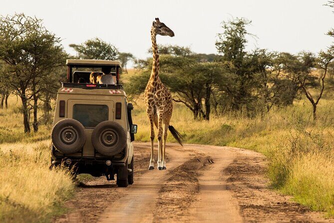4-Day Serengeti, Ngorongoro, & Lake Manyara Budget Tour - FAQs