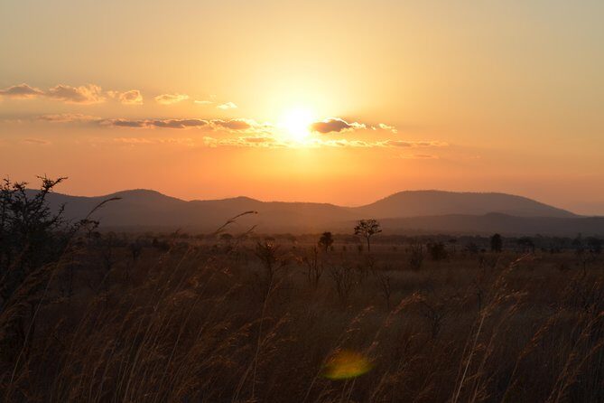 4 Day Serengeti & Ngorongoro Safari Wildlife Wonders of Tanzania - What Could Be Better?