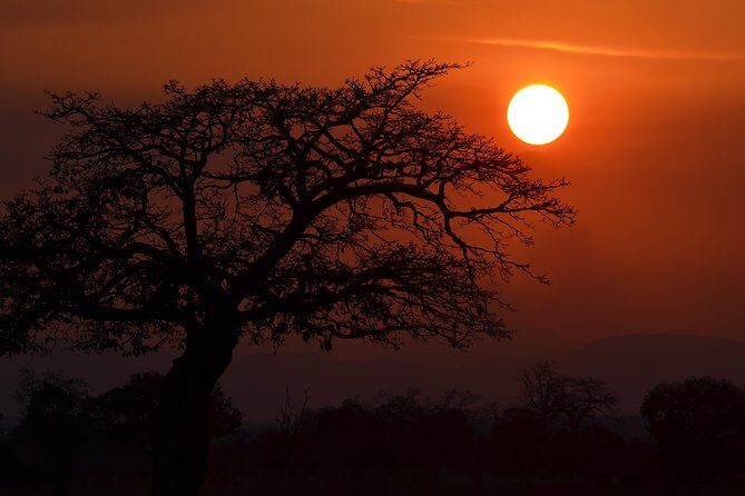 4 Day Serengeti & Ngorongoro Safari Wildlife Wonders of Tanzania - Price and Value