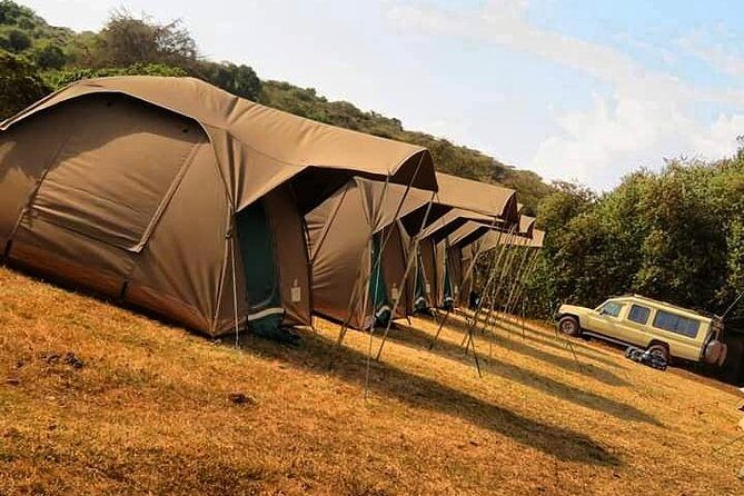 4-Day Serengeti, Ngorongoro,Tarangire safari - Final Thoughts: Is This Safari Right for You?