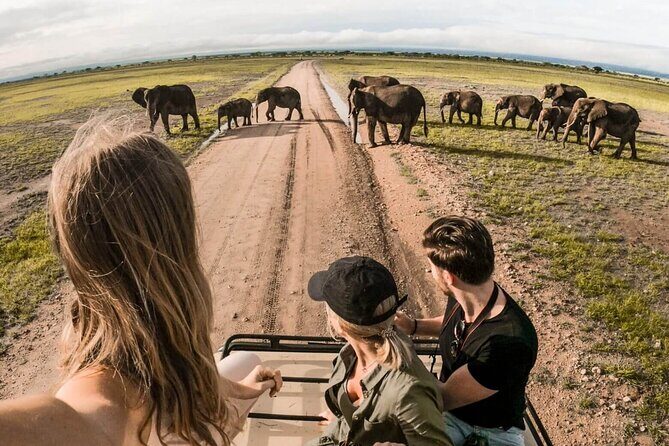 4-Day |Sharing Safari, Tarangire, Serengeti, Ngorongoro - Key Points  