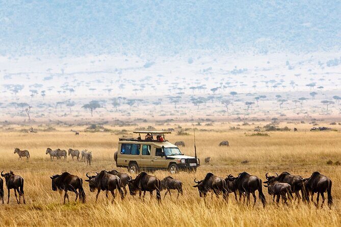 4-Day |Sharing Safari, Tarangire, Serengeti, Ngorongoro - An Overview of the Tour Experience