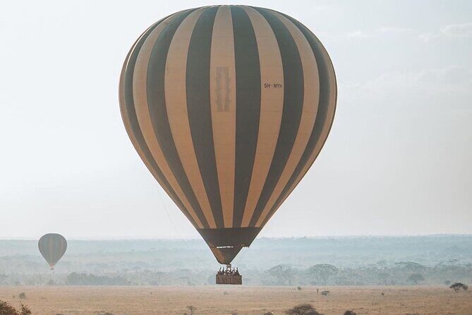 4-Day |Sharing Safari, Tarangire, Serengeti, Ngorongoro - Transportation, Logistics, and Comfort