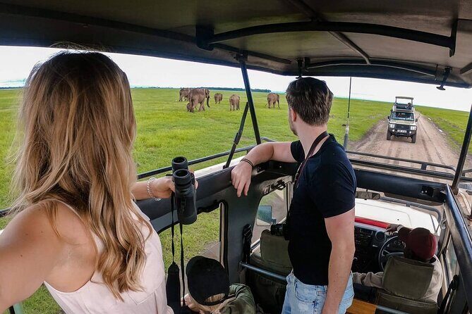 4-Day |Sharing Safari, Tarangire, Serengeti, Ngorongoro - Who is This Tour Best For?