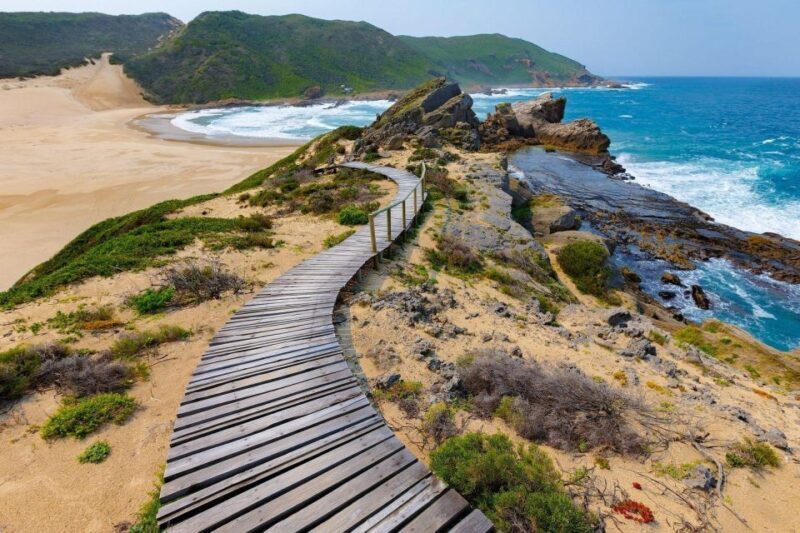 4 Day Small Group Garden Route Tour From Cape Town - Exploring the Itinerary: What You Can Expect