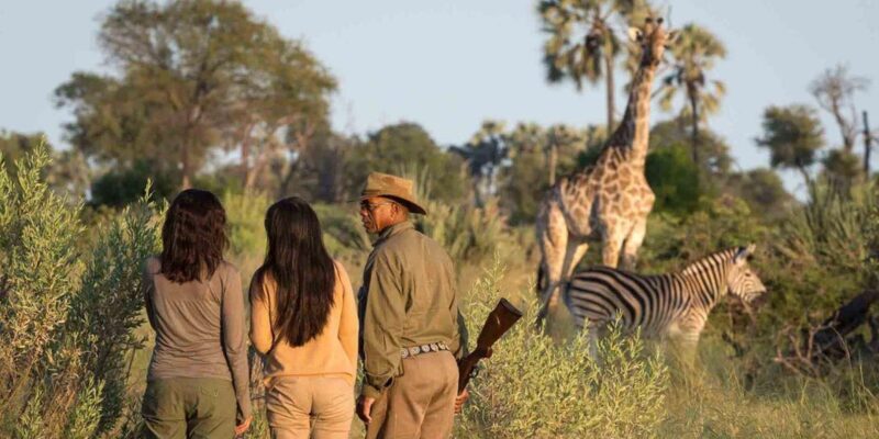 4 Day Small Group Garden Route Tour From Cape Town - FAQs