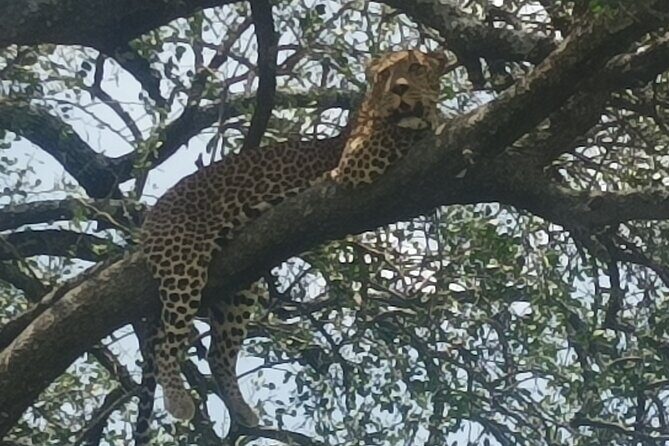 4-Day Small-Group Tour of Tanzania - Who Will Love This Tour?