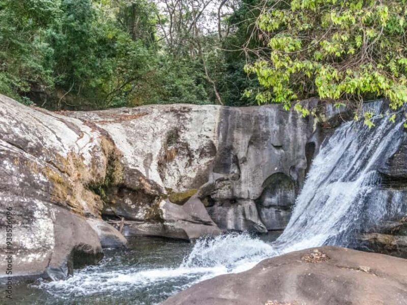 4-Day Southern Tanzania Udzungwa and Mikumi NP - Introduction to the Tour Experience  