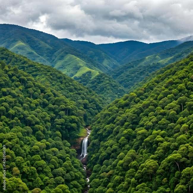 4-Day Southern Tanzania Udzungwa and Mikumi NP - Authentic Experiences and Insights  