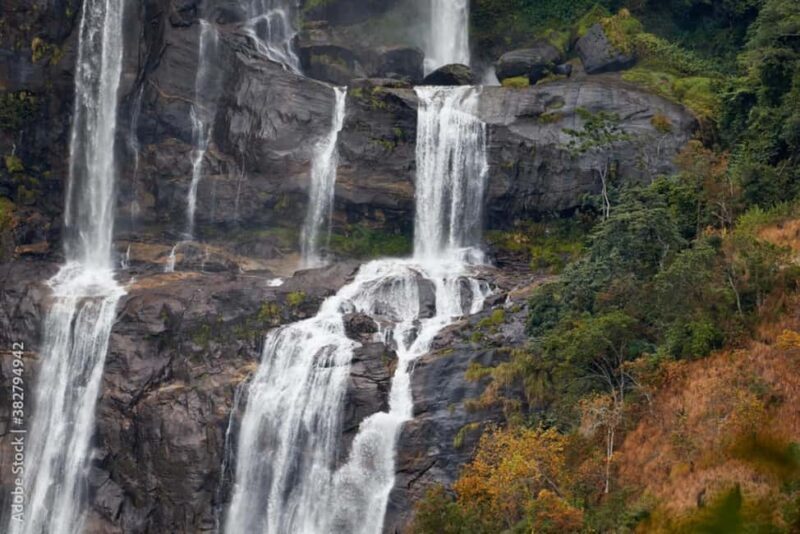 4-Day Southern Tanzania Udzungwa and Mikumi NP - The Sum Up  