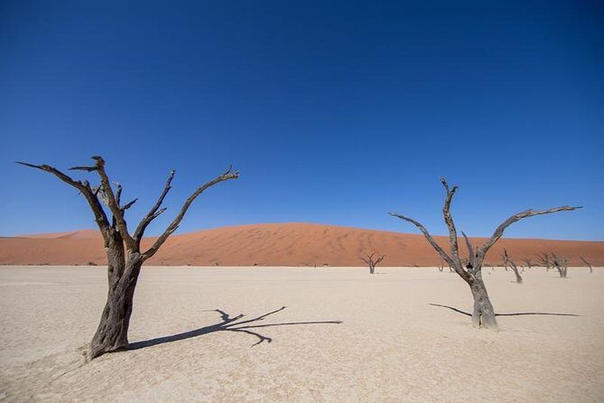 4-Day Swakopmund And Sossusvlei Accommodated Adventure from Windhoek - FAQ