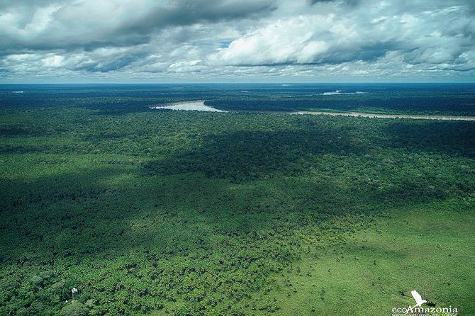 4-day-tambopata-rainforest-adventure