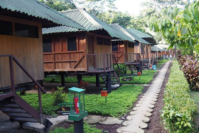 4-day-tambopata-rainforest-adventure
