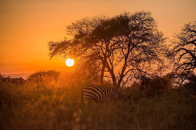 4-Day Tanzania Camping Safari Experience - Who Is This Tour Best For?
