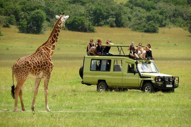 4-Day Tanzania Camping Safari to Lake Manyara, Serengeti, and Ngorongoro Crater - The Practicalities: What’s Included and What’s Not